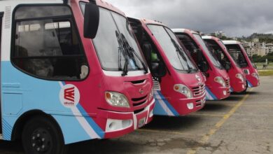 Activarán rutas de TransMiranda para Serie del Caribe 2023