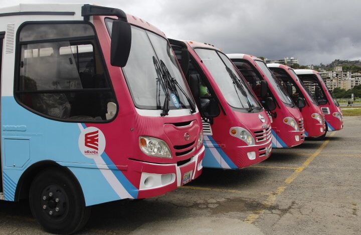 Activarán rutas de TransMiranda para Serie del Caribe 2023