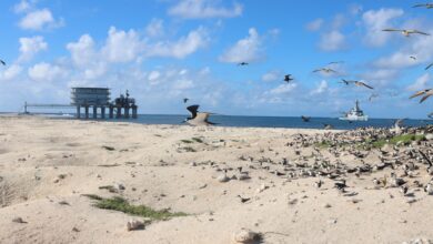 Autoridad Acuática viajó a Isla de Aves para evaluar condiciones de estación científico naval