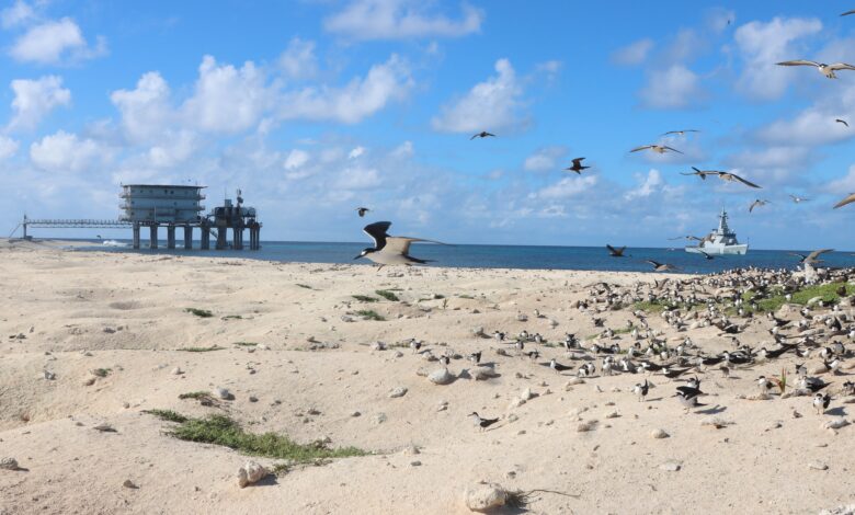 Autoridad Acuática viajó a Isla de Aves para evaluar condiciones de estación científico naval