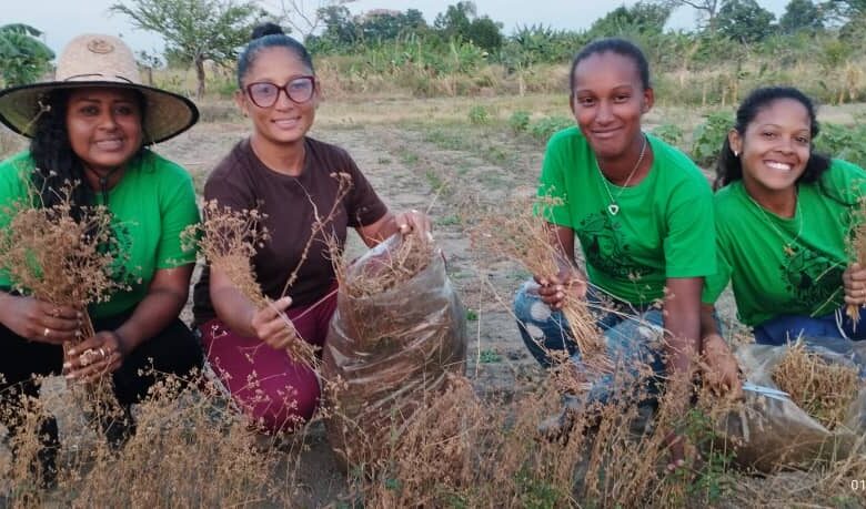 Mujeres Conuqueras de Carabobo crean banco de semillas para su multiplicación
