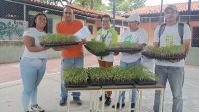 Minppau entrega 2.200 plántulas de tomate a productor en San Francisco de Yare del estado Bolivariano de Miranda