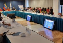 IV Reunión Extraordinaria del CNEA se efectuará el 25 de marzo