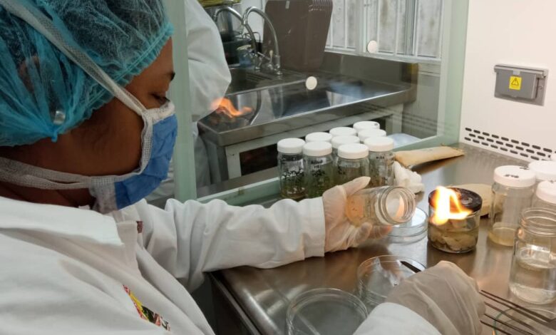 Trujillo cuenta con laboratorio de biotecnología para la producción de semillas de papa