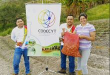 Aragua: Codecyt brinda acompañamiento técnico a productores de semillas de papa
