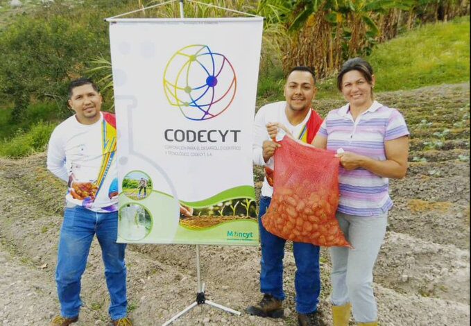 Aragua: Codecyt brinda acompañamiento técnico a productores de semillas de papa