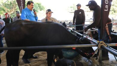 Presidente Maduro inauguró la II Feria Nacional de Criabúfalos Caracas 2023