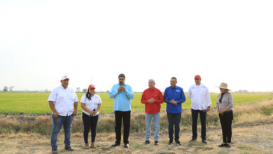 Presidente Maduro dio comienzo a la cosecha de verano durante "Miércoles Productivo"