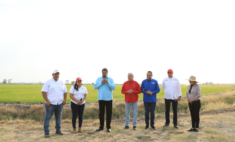 Presidente Maduro dio comienzo a la cosecha de verano durante "Miércoles Productivo"