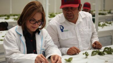 Mérida: Inaugurado primer núcleo de aeroponía para garantizar soberanía alimentaria nacional