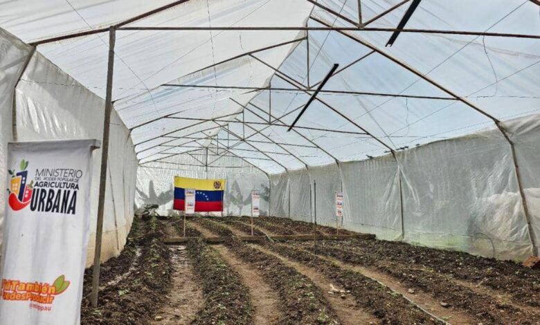 Minppau reinaguró casa de cultivo visitada por Hugo Chávez en El Junquito