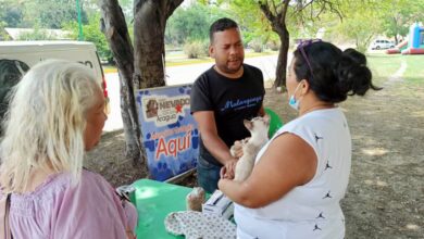 Aragua: Misión Nevado atendió aproximadamente 70 mascotas en Maracay