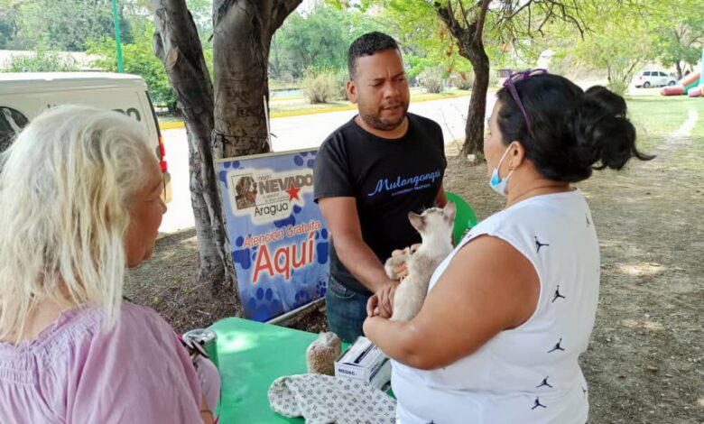 Aragua: Misión Nevado atendió aproximadamente 70 mascotas en Maracay