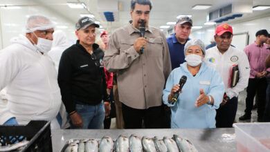Venezuela registró un aumento del 54% de la exportación de productos del mar
