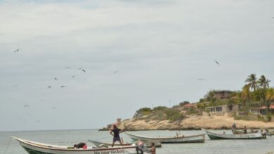 La Guaira: Comuna Arrecifes práctica la pesca artesanal respetando el ecosistema marino