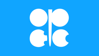 ESPECIAL: Arabia Saudita y Venezuela defienden una visión común amparada en la OPEP