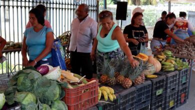 feria campo soberano