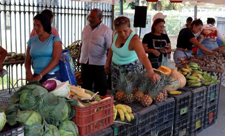 feria campo soberano