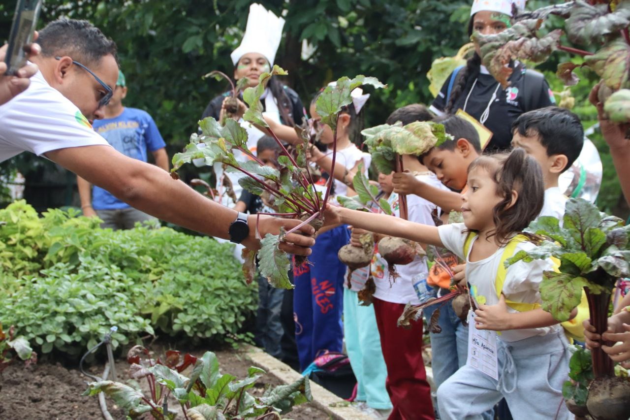 Caracas cuenta con el emblemático Organopónico Bolívar 1 Yvke Mundial