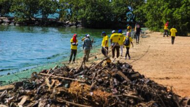 Costas de nueve municipios fueron sumadas al saneamiento y limpieza de Lago de Maracaibo