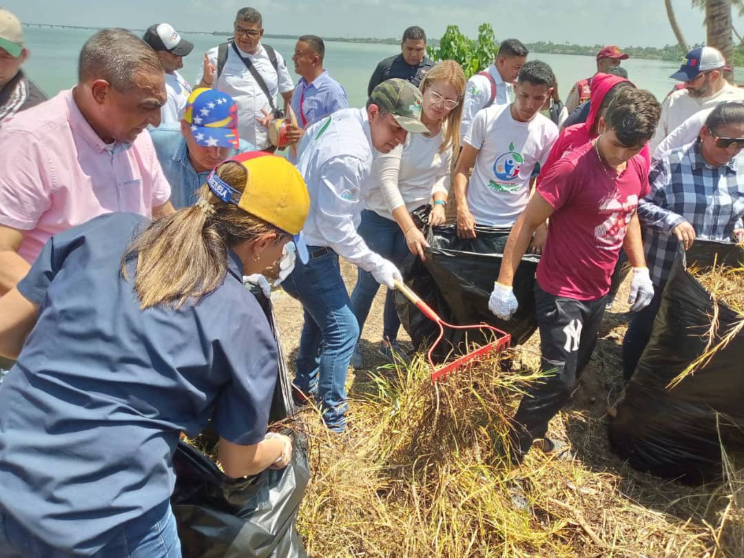 Saneamiento y reforestación se realizó en la Costa Oriental del Lago de Maracaibo