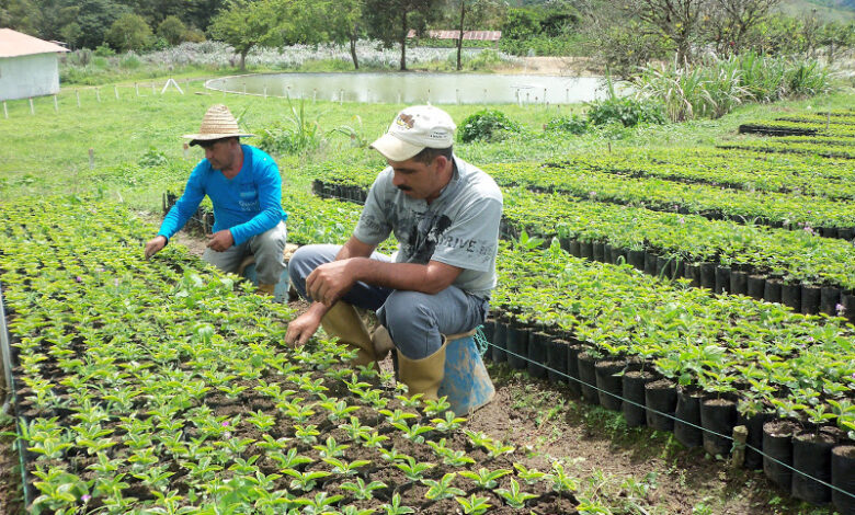 Gobierno Bolivariano Impulsa Exportaci N De Productos Agr Colas