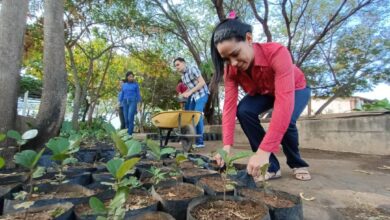 Zulia: Se fortalecen a futuro nuevos bancos de germo plasma para la reforestación del Lago de Maracaibo