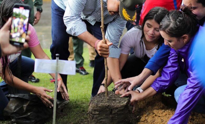 árbol