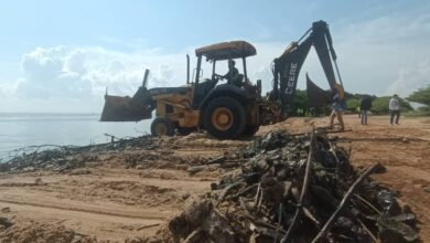 ICLAM e instituciones del Gobierno Nacional ejecutaron jornada de saneamiento ambiental en el marco del Día Mundial de las Playas