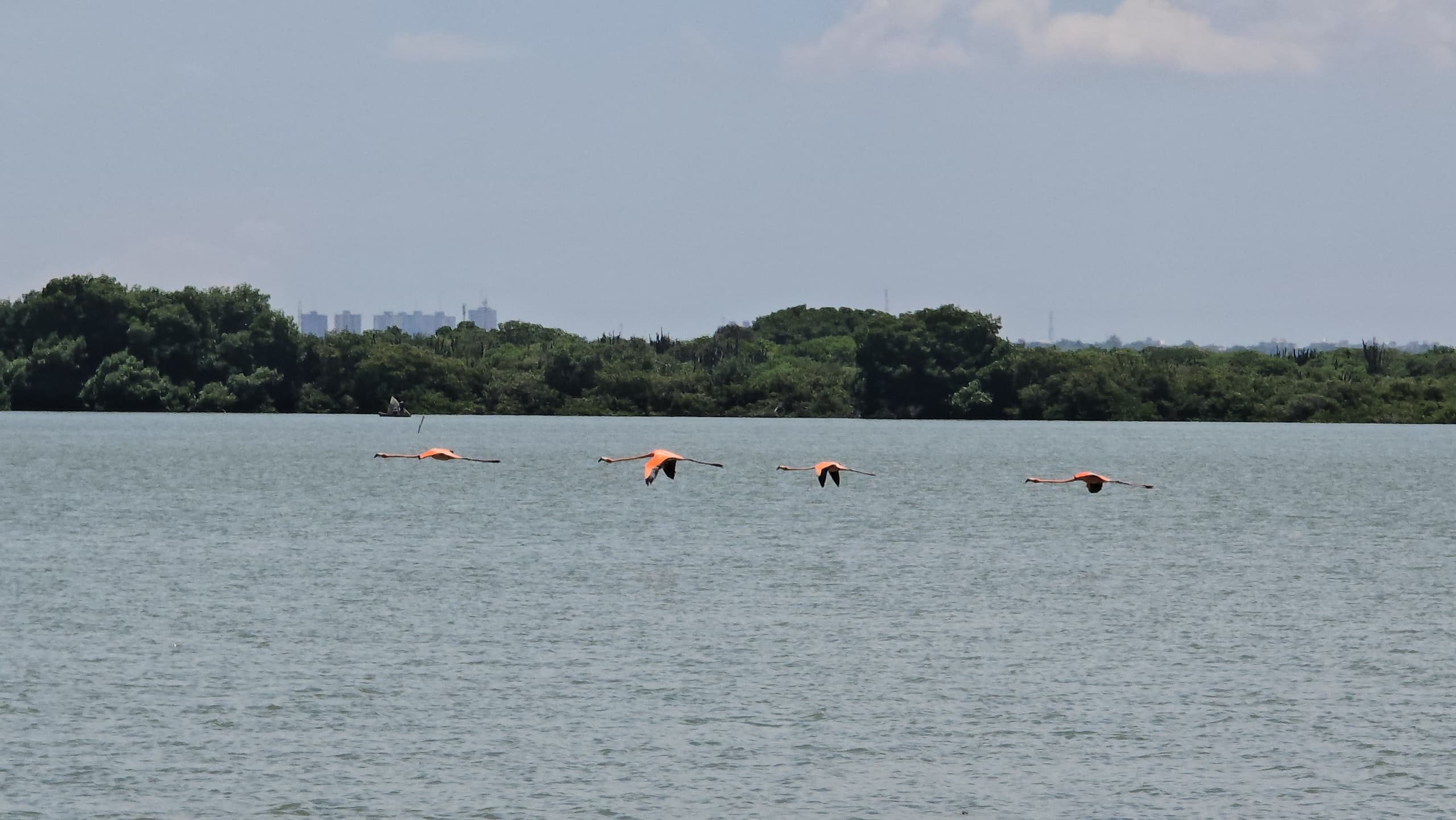 Zulia: Declaran la Laguna de Las Peonías Ruta de Interés Turístico Nacional