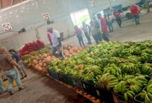 Zulia: Distribuyen más de 9 toneladas de frutas y verduras en los Senifa e instituciones educativas de la COL