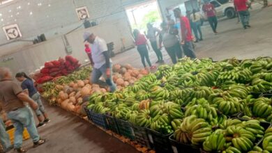 Zulia: Distribuyen más de 9 toneladas de frutas y verduras en los Senifa e instituciones educativas de la COL