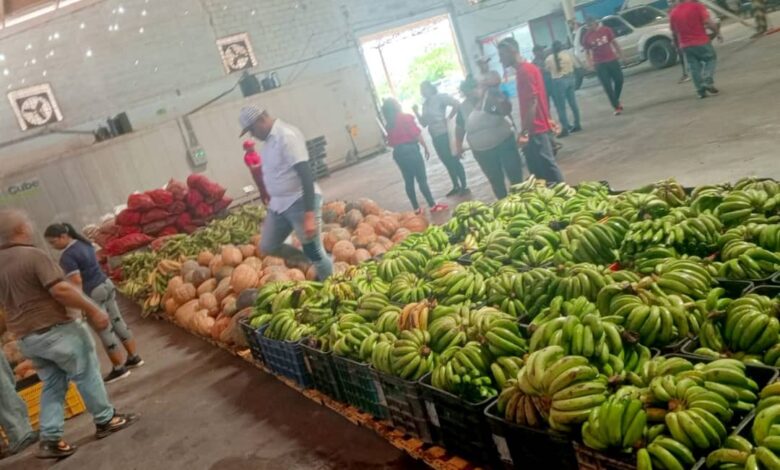 Zulia: Distribuyen más de 9 toneladas de frutas y verduras en los Senifa e instituciones educativas de la COL