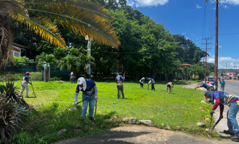 la Fundación Carabobo Te Quiero ha ejecutado labores de limpieza, desmalezado y recolección de desechos en más de 13.284 metros cuadrados de la Ciudad Hospitalaria Dr. Enrique Tejera (CHET) de Valencia.