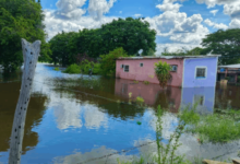 Crecida del río Orinoco afecta a familias y comercios en Ciudad Bolívar