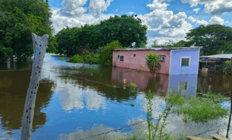 Crecida del río Orinoco afecta a familias y comercios en Ciudad Bolívar