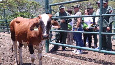 Un total de 34 productores agrícolas de Puerto Cabello, recibieron los títulos agrarios por parte del Instituto Nacional de Tierras (INTI).