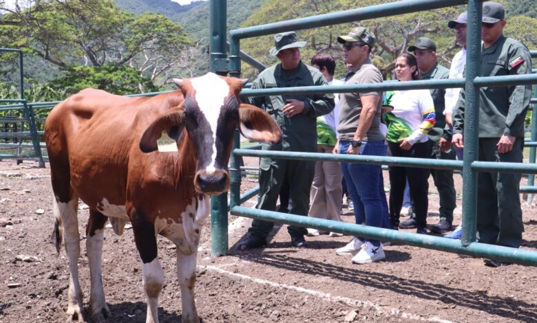 Un total de 34 productores agrícolas de Puerto Cabello, recibieron los títulos agrarios por parte del Instituto Nacional de Tierras (INTI).