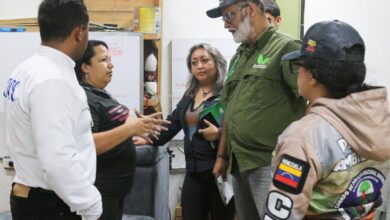 Paralizan actividades en 21 empresas del área forestal en Venezuela por manejo ilegal