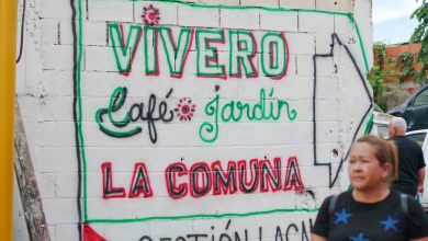 Gobierno de Carabobo inauguró Vivero Café Jardín La Comuna en sede de Fundacomunidad