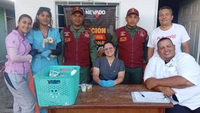 En el municipio Colón la misión Nevado efectuó exitosa jornada de medicina veterinaria integral