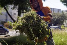 Avanzan labores de recuperación de espacios públicos por una “Guacara+Limpia”