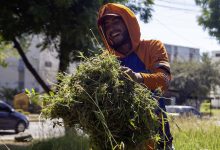 Avanzan labores de recuperación de espacios públicos por una “Guacara+Limpia”