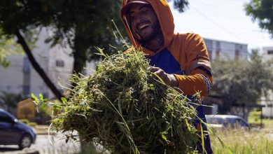 Avanzan labores de recuperación de espacios públicos por una “Guacara+Limpia”