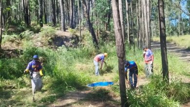 Gobierno de Carabobo realizó inspección preventiva contra incendios en el Cerro El Café.