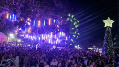 Gobierno de Carabobo acompañó encendido de Navidad y celebración de la Inmaculada Concepción en Montalbán