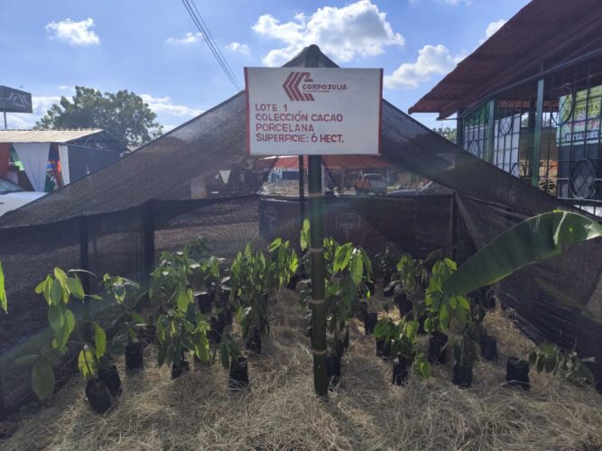 Se realizó la Feria Expo Agro Sur del Lago en Santa Bárbara del Zulia