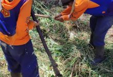 Alcaldía de Guacara se mantiene activa con la limpieza de canales en el municipio