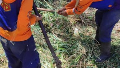 Alcaldía de Guacara se mantiene activa con la limpieza de canales en el municipio