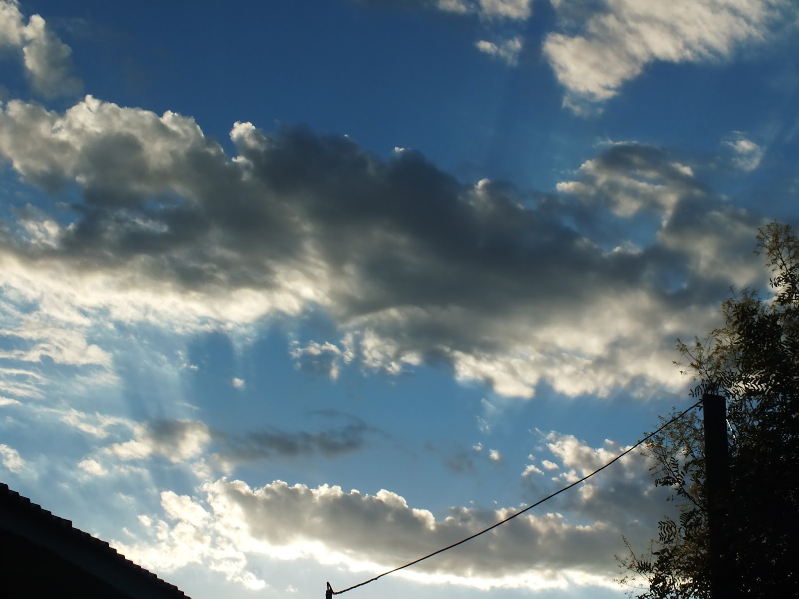 Nube